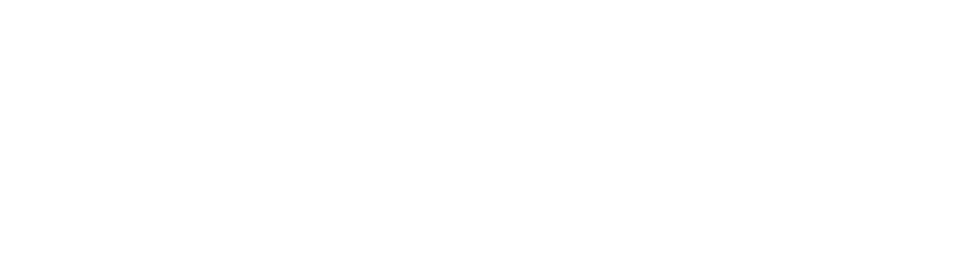 Citadel Logo